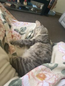 We only had Izzy for some months but we loved her soo much. The grief is real.